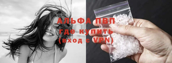 2c-b Инсар