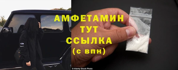2c-b Инсар