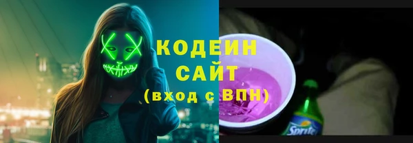 2c-b Инсар