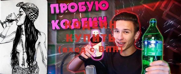 2c-b Инсар