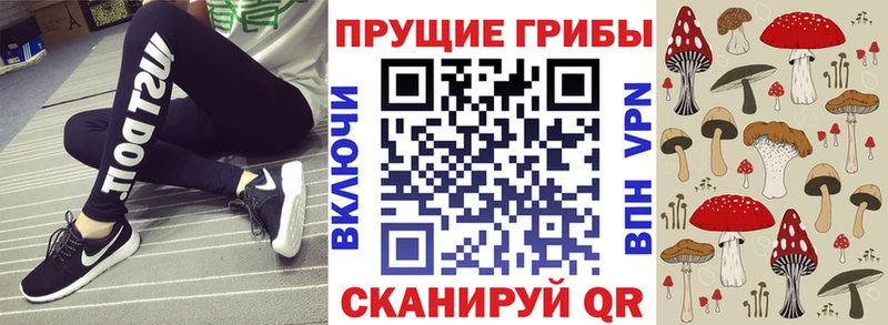 Псилоцибиновые грибы Psilocybe Сухой Лог