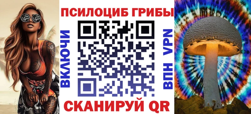 Купить где Сухой Лог Галлюциногенные грибы Psilocybe